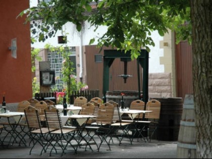 Foto: Weinbau Pavillon